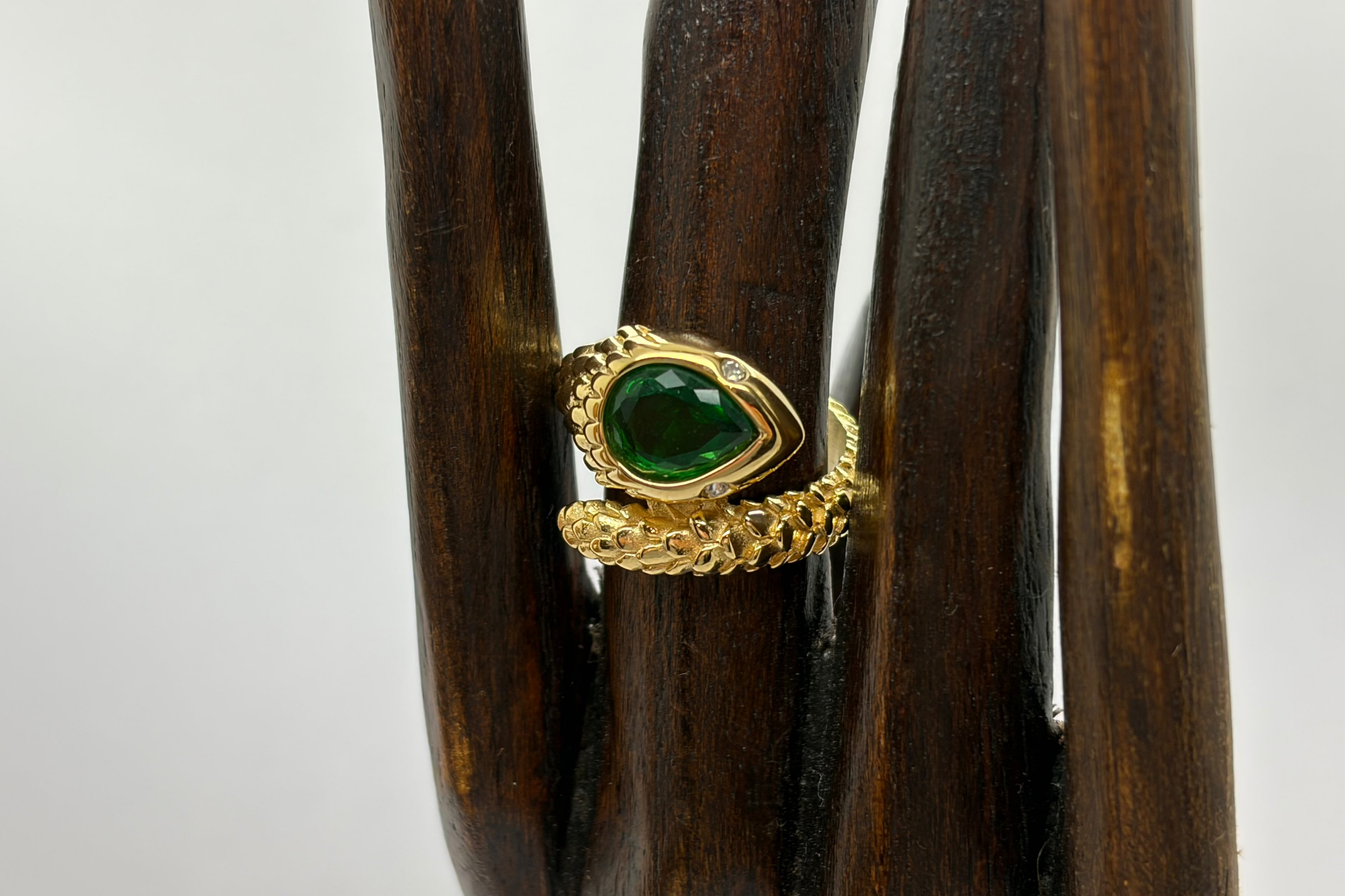 Anillo Serp