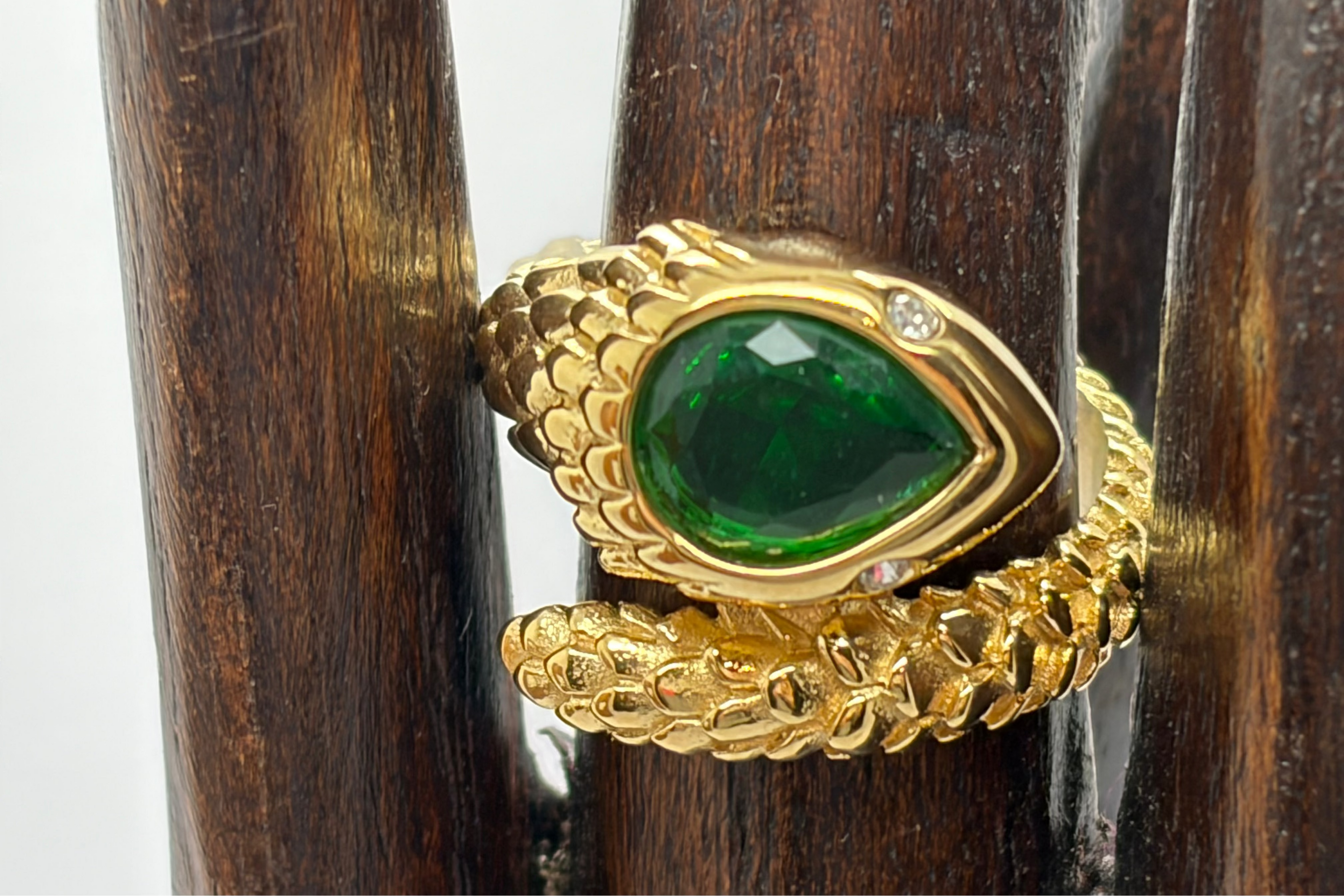 Anillo Serp