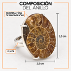 Composición del Anillo Madagascar: plata y amonita fósil de Madagascar de 3,5 cm de largo por 2,5 cm de ancho.