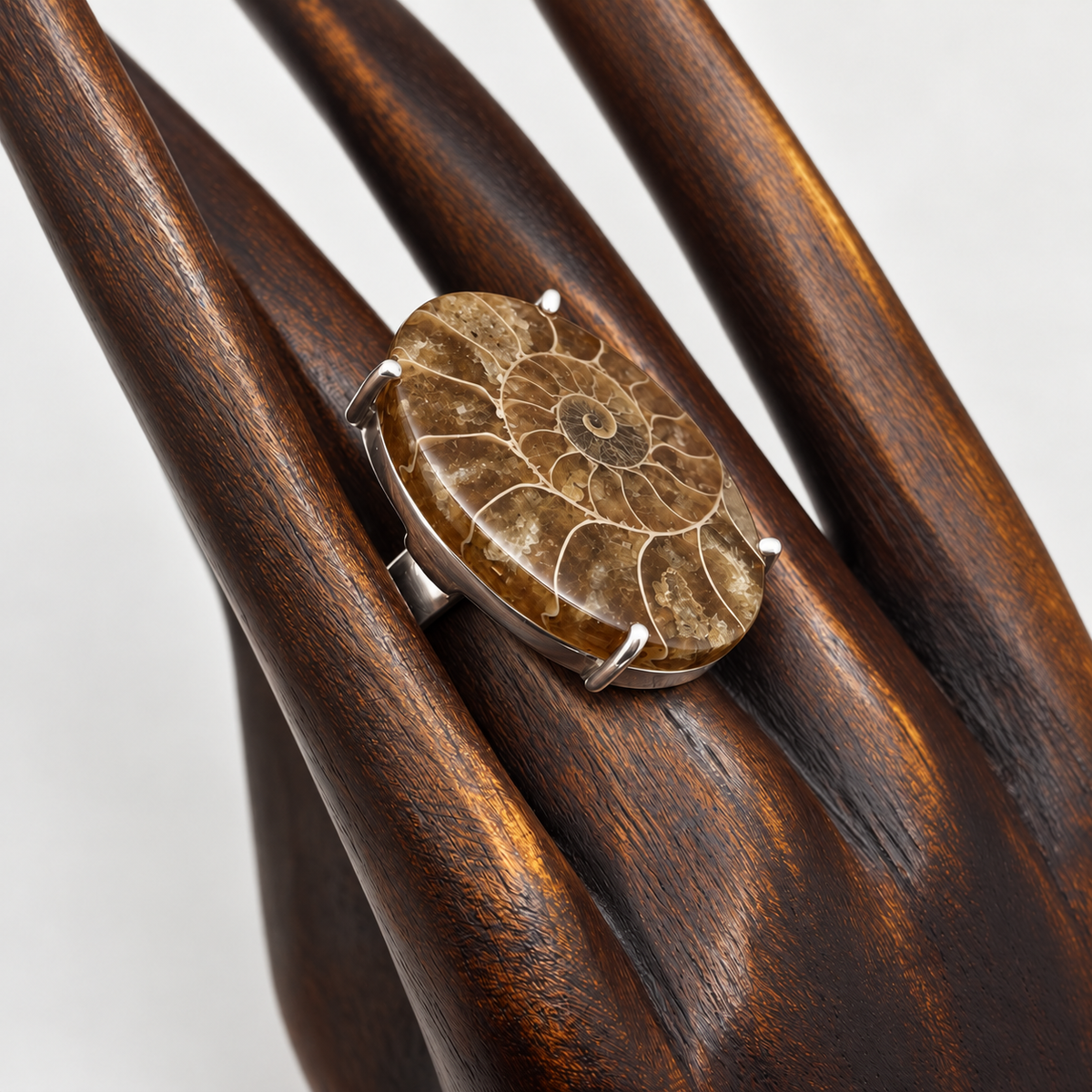 Anillo Madagascar de plata con amonita fósil en tonos marrones y beige sobre una mano de madera.