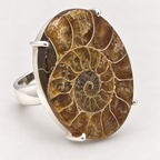 Anillo Madagascar de plata con amonita fósil en tonos marrones y beige sobre fondo gris claro.